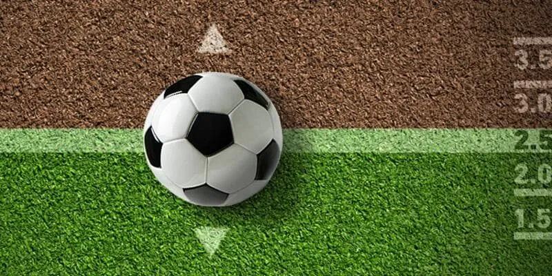 Những ưu đãi và chương trình khuyến mãi